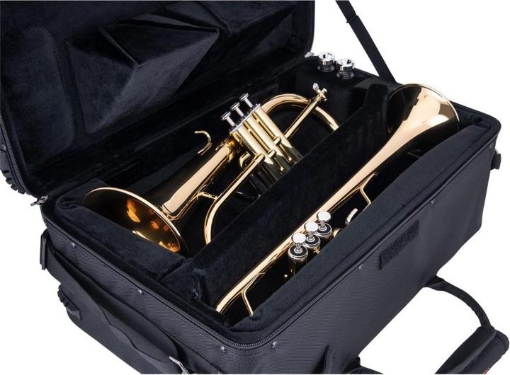 Actual product image Jupiter 40th anniversary Set: 1110R Trumpet & 1100R Flugelhorn (Trumpets)