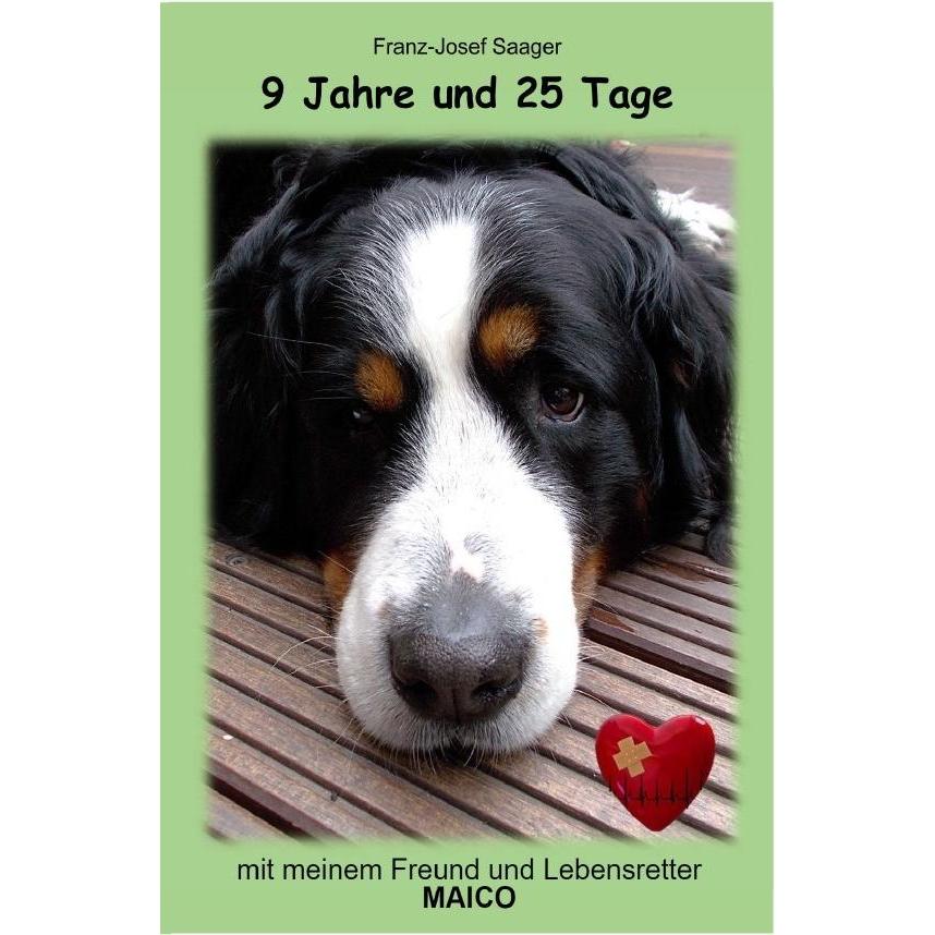 9 Jahre und 25 Tage, Belletristik von Franz-Josef Saager