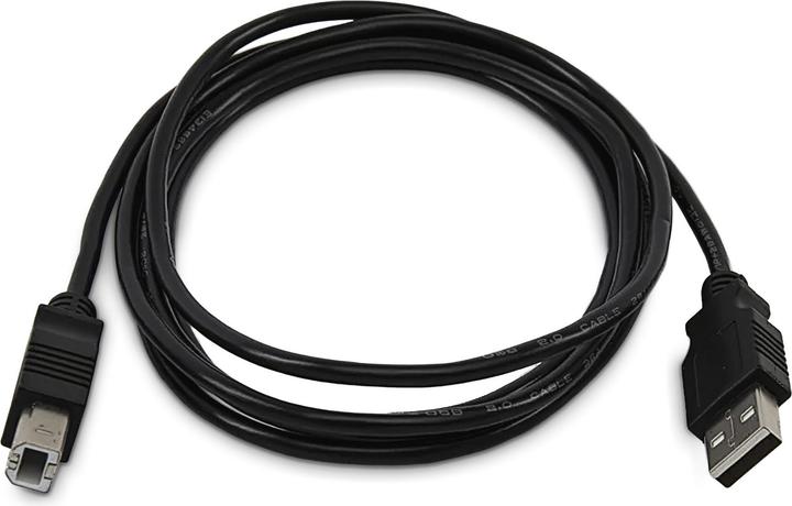 Produktbild StarTech .com SKUSBAB10-TAA, 3 m, USB A, USB B, USB 2.0, Schwarz (3 m, USB 2.0)