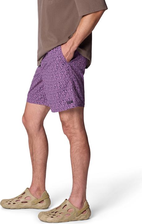 Image du produit Mountain Hardwear M Stryder™ Short (S)