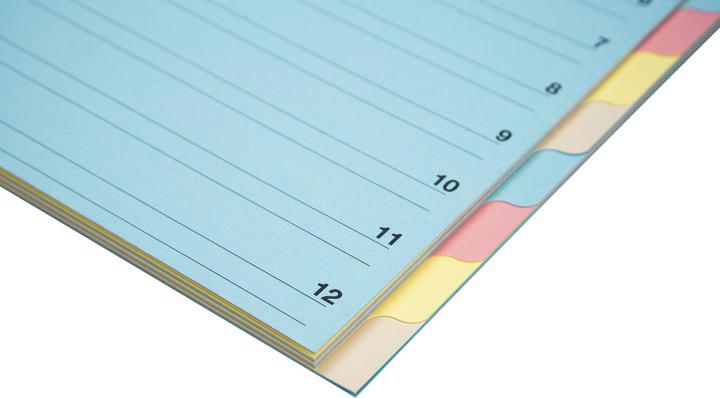 Image du produit Biella Dossier (A4, 1x)