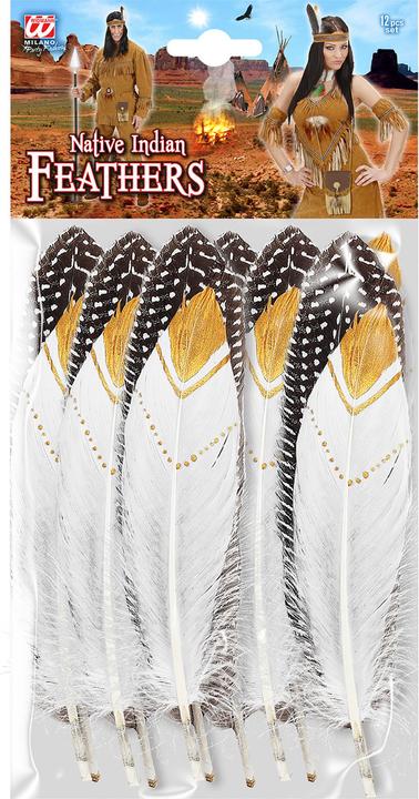 Produktbild Widmann Indianerfedern Set