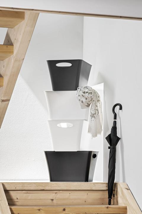 Produktbild Rotho Living (28 x 44 x 31 cm, 24 l)