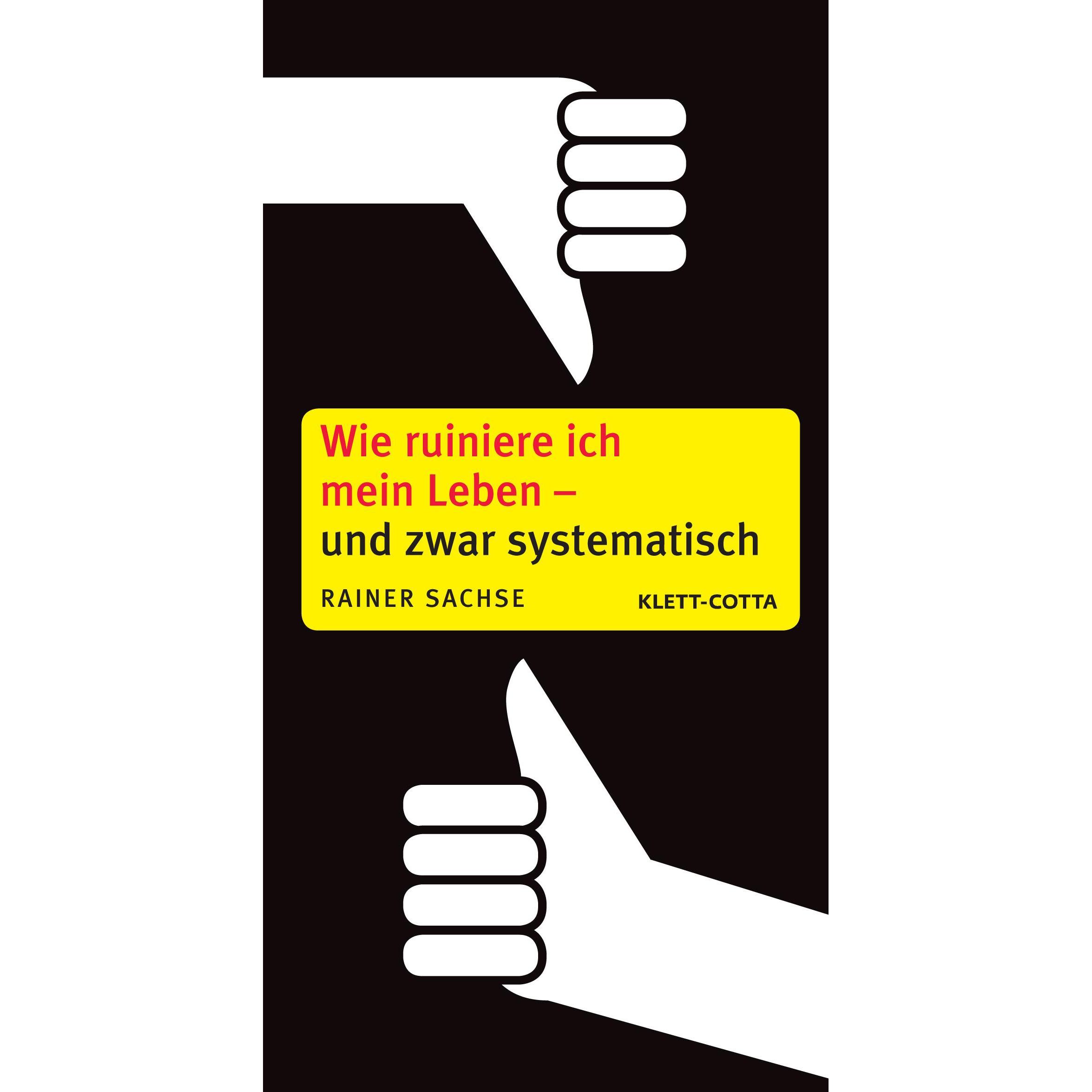 Wie ruiniere ich mein Leben - und zwar systematisch, Ratgeber von Rainer Sachse
