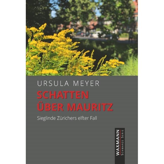 Schatten über Mauritz, Belletristik von Ursula Meyer