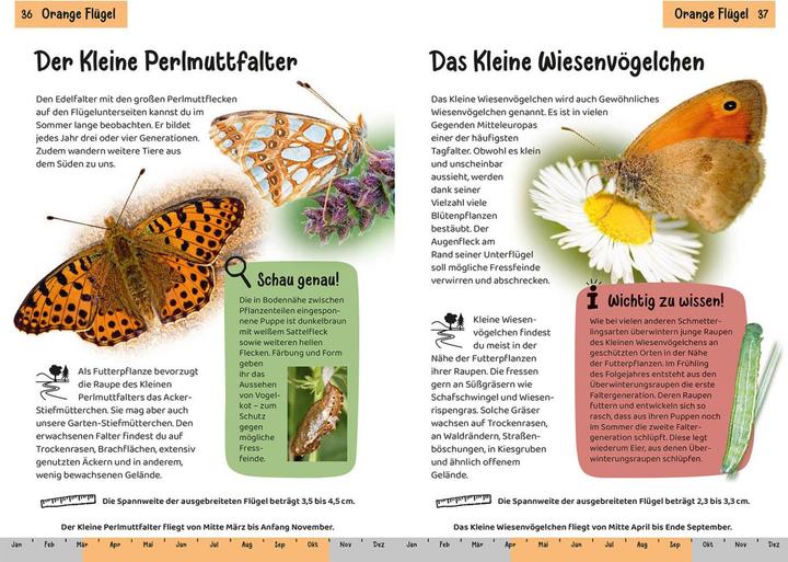Produktbild Kosmos Welcher Schmetterling ist das? Kindernaturführer (Deutsch, Jens Poschadel, 2023)