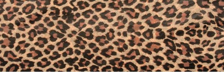 Produktbild Décopatch Decopatch-Papier 3St 30x40cm Leopard (20 g/m², 3x)