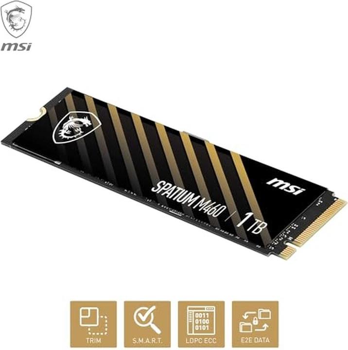 Image du produit MSI Spatium M460 (1000 Go, M.2 2280)