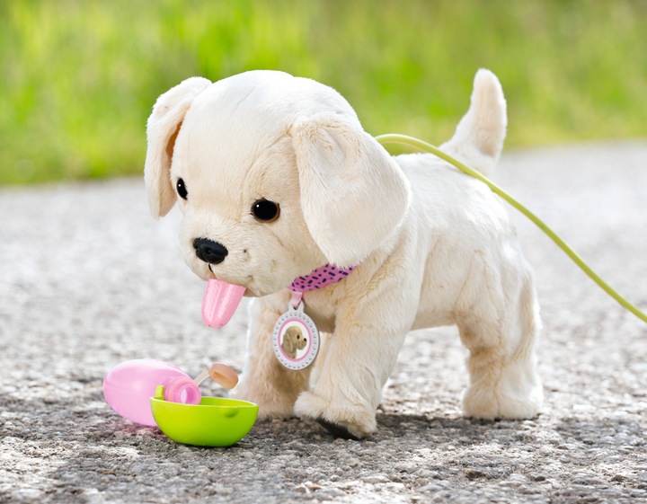 Actual product image Zapf Creation Zapf 835197 BABY born My Lucky Dog
