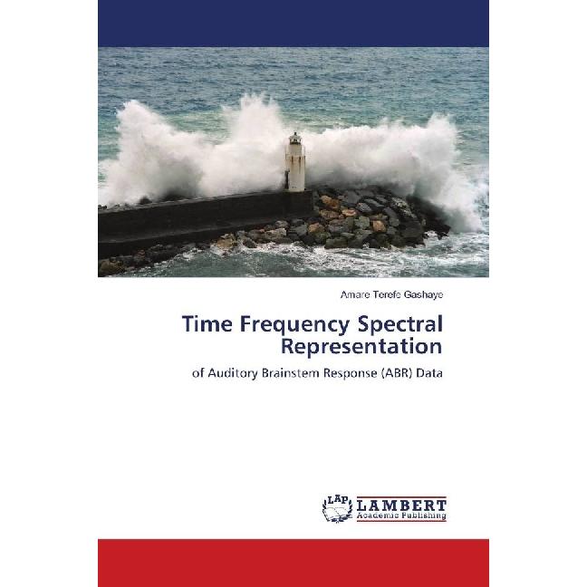 Time Frequency Spectral Representation, Fachbücher von Amare Terefe Gashaye