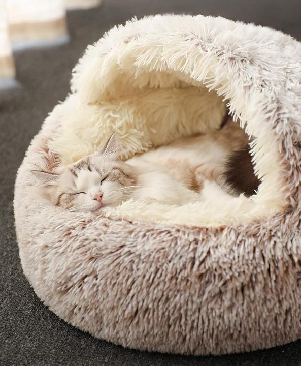 BoruisX Lit pour chat (Chat)