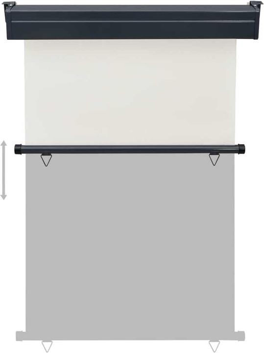 Image du produit VidaXL Auvent latéral (1.20 m)