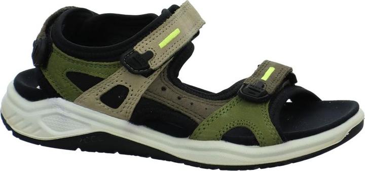 ghianda multicolore, Verde oliva