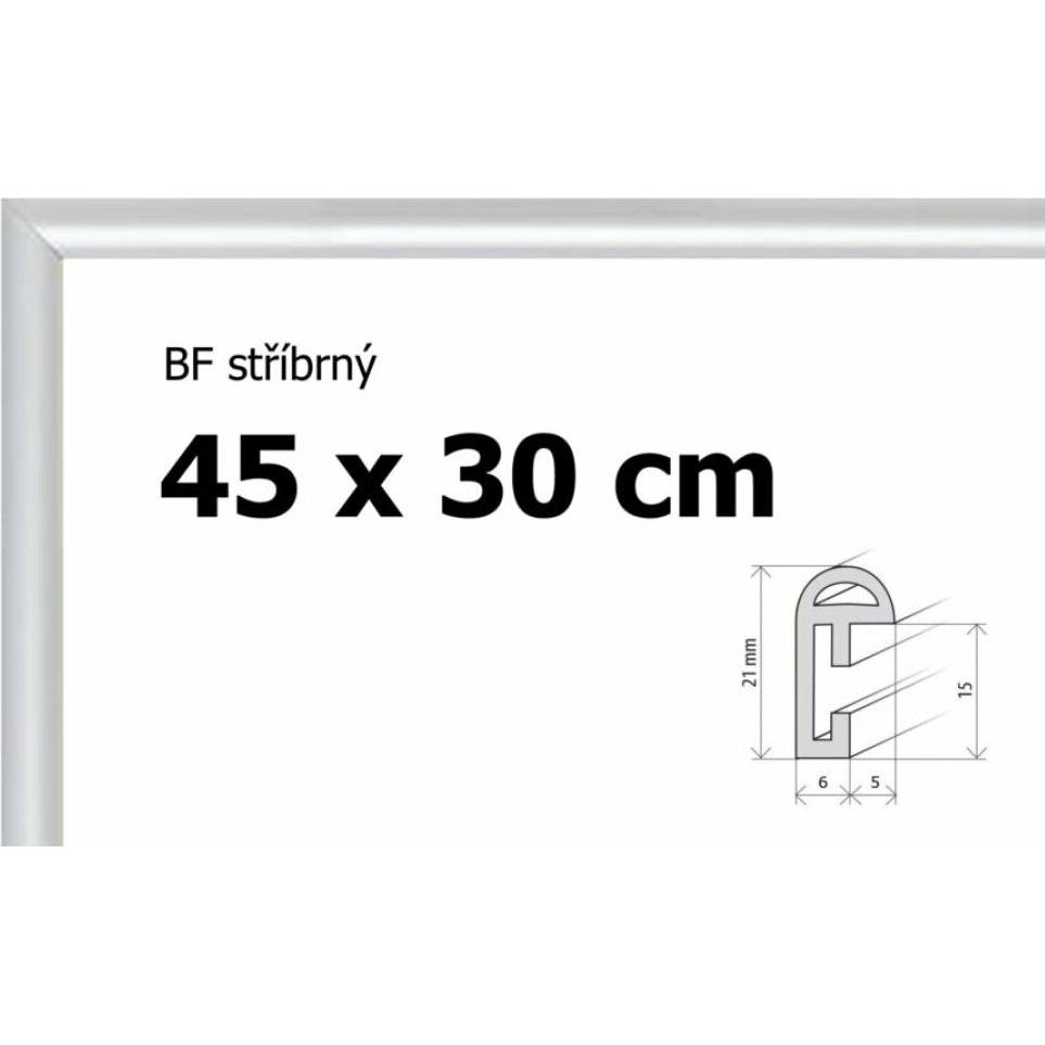 Thumbnail - Bfhm Kunststoffrahmen 45x30cm - silber