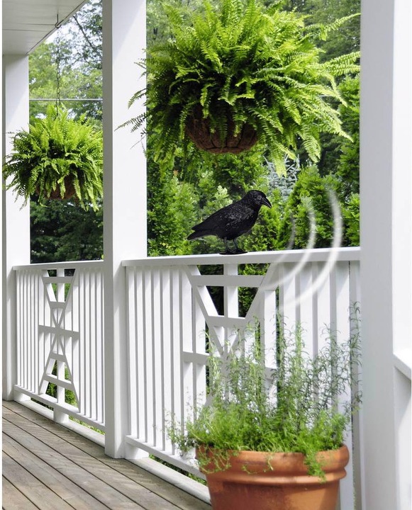 Actual product image Gardigo Bird repellent