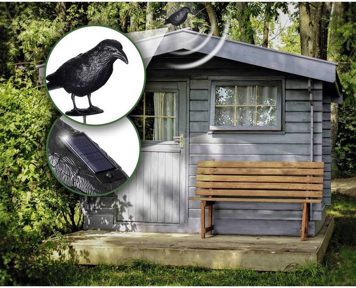Actual product image Gardigo Bird repellent