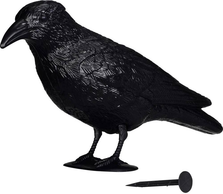 Actual product image Gardigo Bird repellent