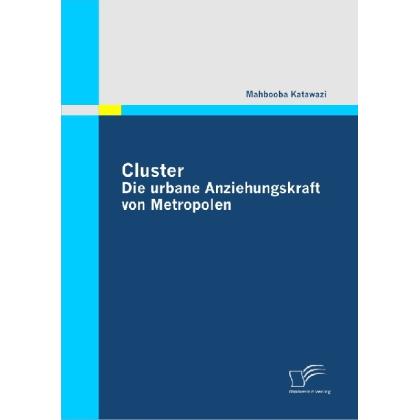 Cluster: Die urbane Anziehungskraft von Metropolen, Fachbücher von Mahbooba Katawazi