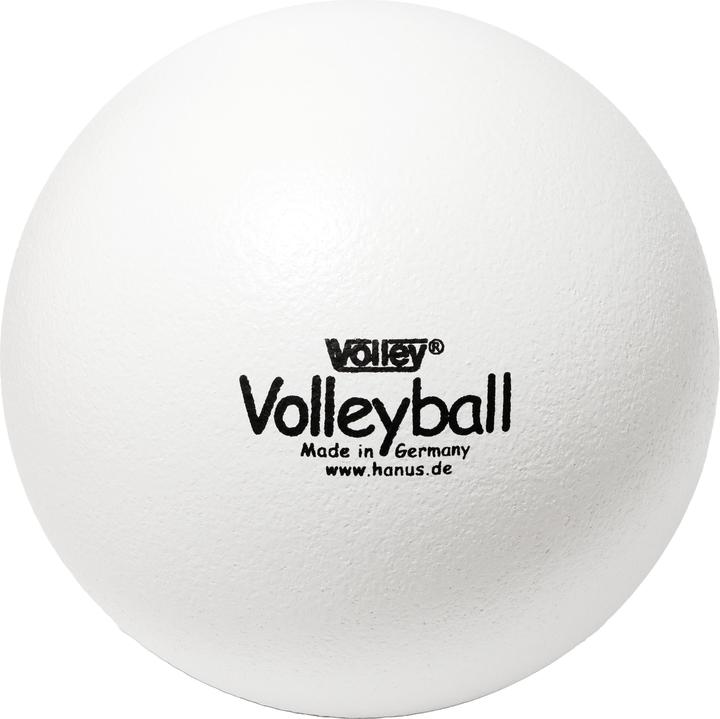 Volley Zacht volleybal