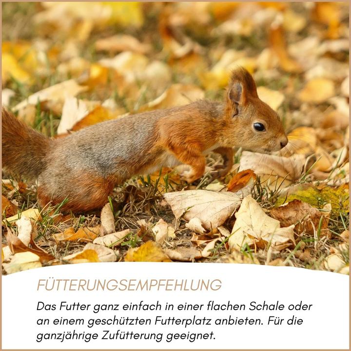 Produktbild SupraVit Eichhörnchenfutter mit Nüssen (1kg) (1 kg)