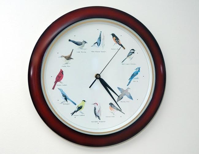 Produktbild Hinhören lernen: Leise Alltagsgeräusche (Klaus Ruge, Carola Preuss, Deutsch)