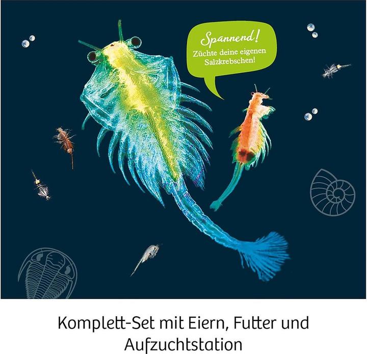 Produktbild Kosmos Urzeit-Krebse