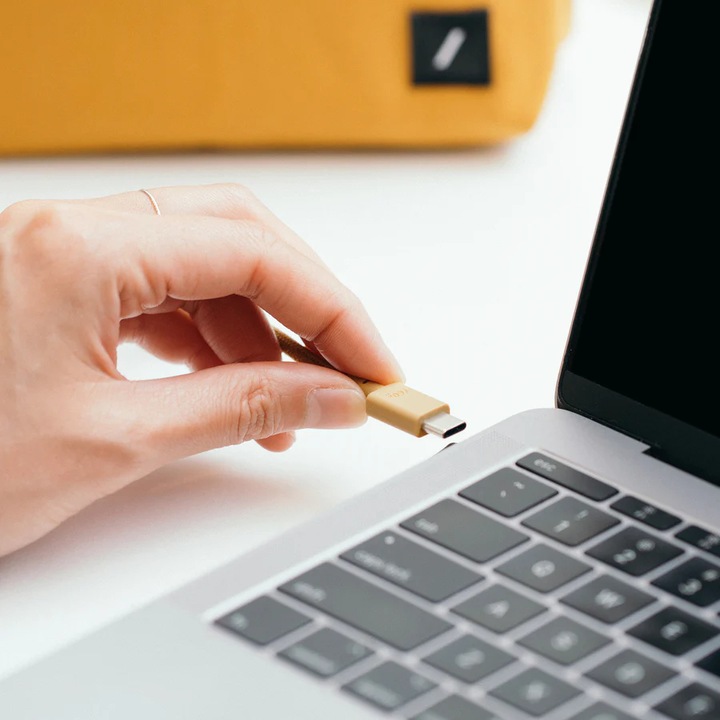 Actual product image Native Union Anchor Cable (USB-C to USB-C) (1.80 m)