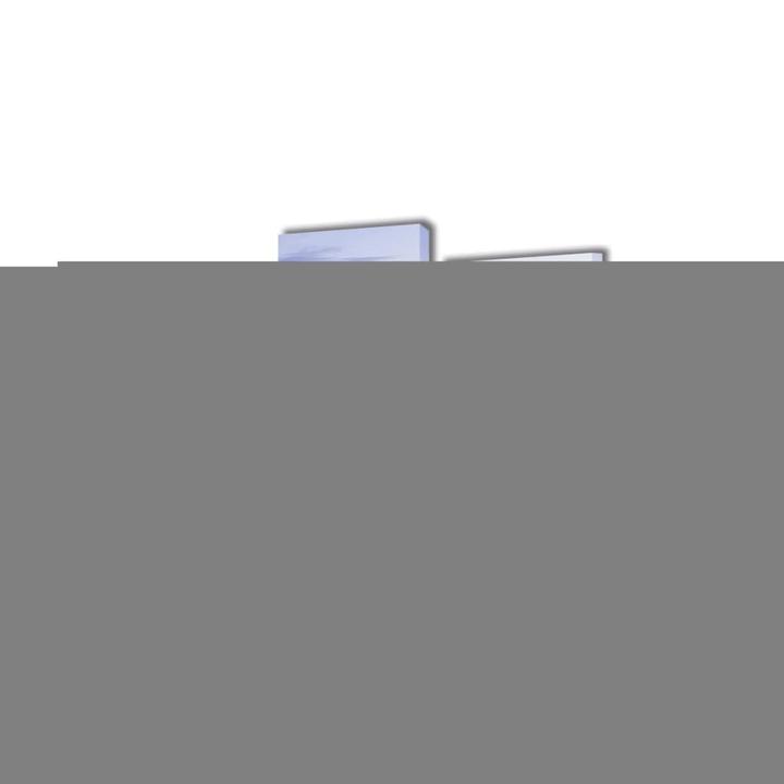 Image du produit vidaXL Murielle (200 x 100 cm)