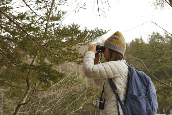 Immagine prodotto Pentax Binocolo Jupiter 12x50 (12 x, 50 mm)