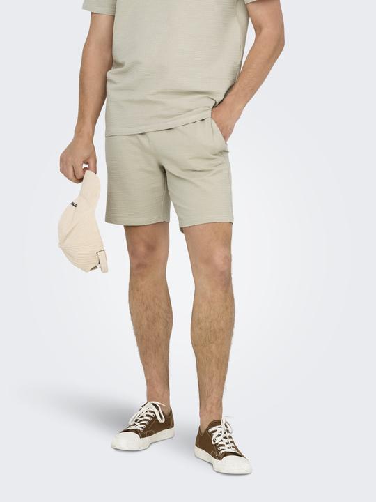 Actual product image Only & Sons Onskian Reg Seersucker Shorts (XS)