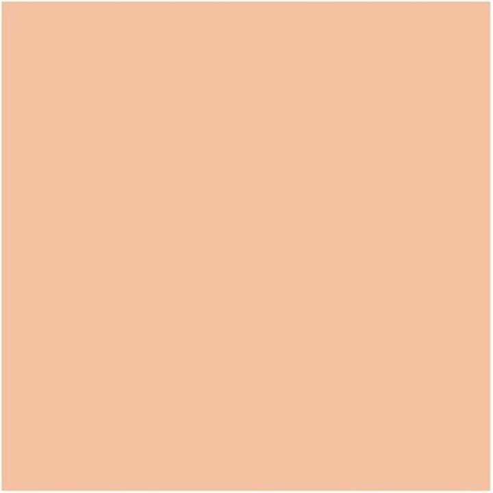 Immagine prodotto MAC Cosmetics Studio Waterweight (No. NC25)