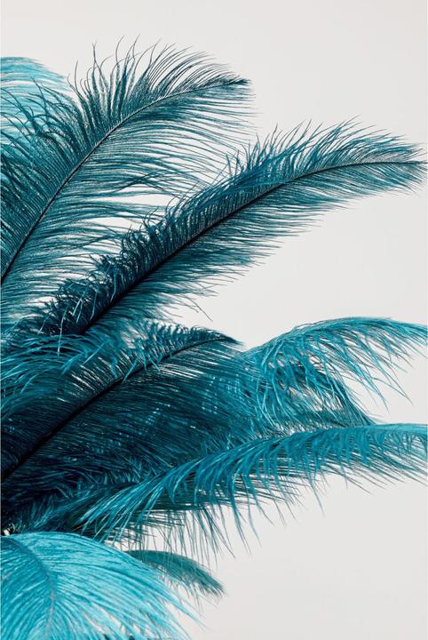Produktbild Kare Design Feather Palm (E27)