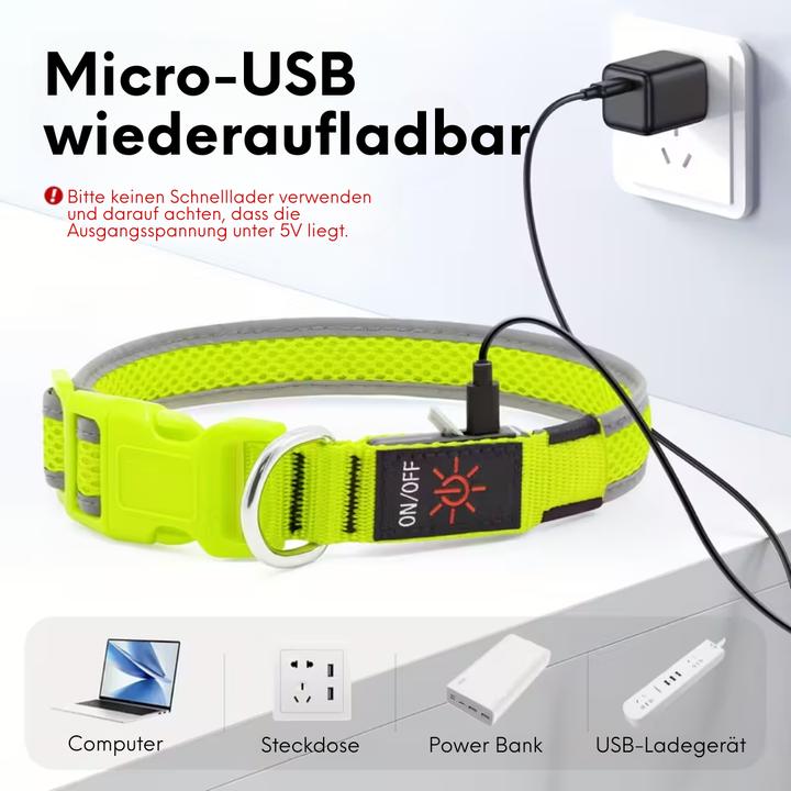 Produktbild Suba Leuchthalsband (S, Hund, Allgemein)