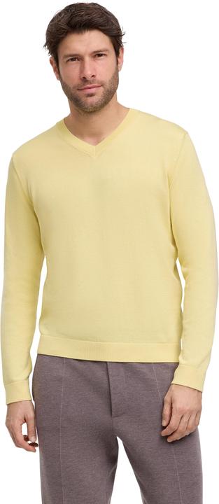 Produktbild Falke FAV Cotton V-Neck m (XXL)