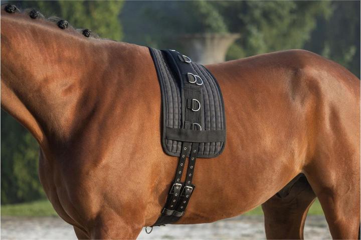 Actual product image Kerbl Lunging harness