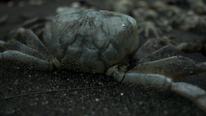 Actual product image Sony Death Stranding PlayStation 4, PlayStation 4 Pro (PS4, DE)