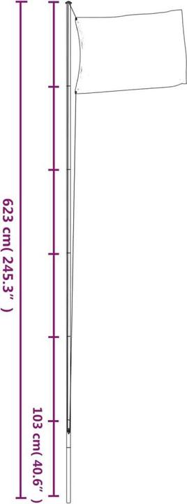 Immagine prodotto VidaXL Asta per bandiera divisibile argento 6,23 m in alluminio, colore
