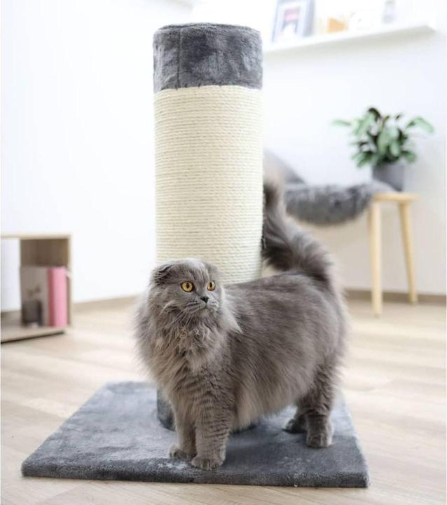 Produktbild Kerbl Arbre a chat Opal Ultra Ã¸ 22cm 82x60x60cm (82 cm, Natural, Grau)