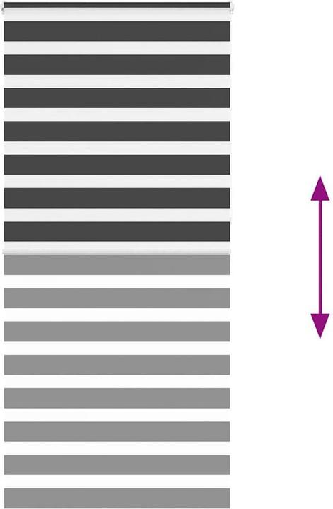 Produktbild vidaXL Zebra-Jalousie (110 x 230 cm)