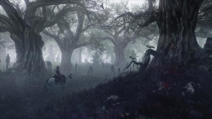 Produktbild The Witcher 3 : Wild Hunt
