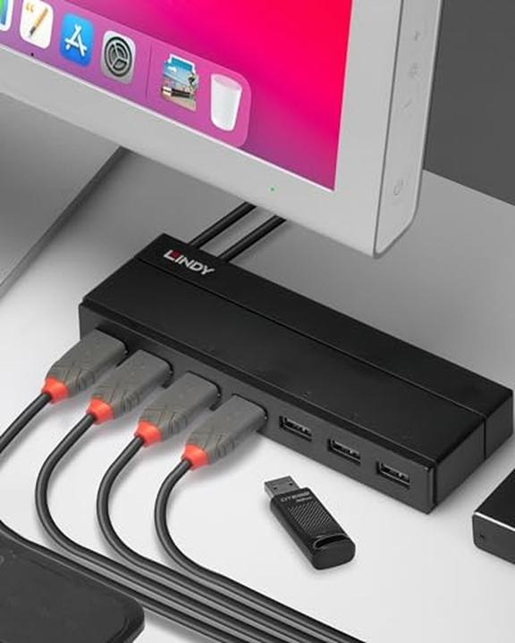 Immagine prodotto Lindy 43228 (USB-B, 7 porte)