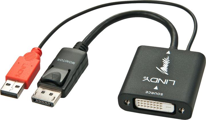 Actual product image Lindy Converter DVI-D to DisplayPort (UNIDIRECTIONAL). DVI-D female to DP male. (DP, 15 cm)