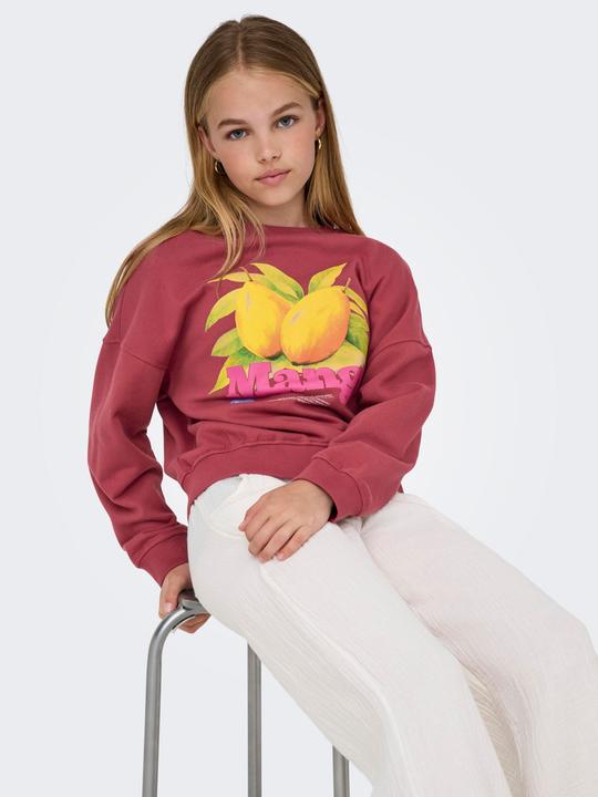 Produktbild Only KOGPHILEA Sweatshirt Sweatshirt (122, 128)