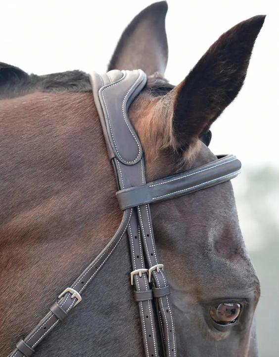 Immagine prodotto Collegiate Comfitec Opulux Fancy Stitch