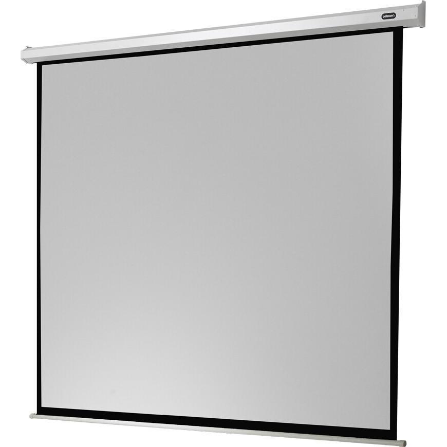 Celexon Economy electric screen - Leinwand - Deckenmontage möglich, geeignet für Wandmon (114.17", 1:1), Leinwand, Weiss