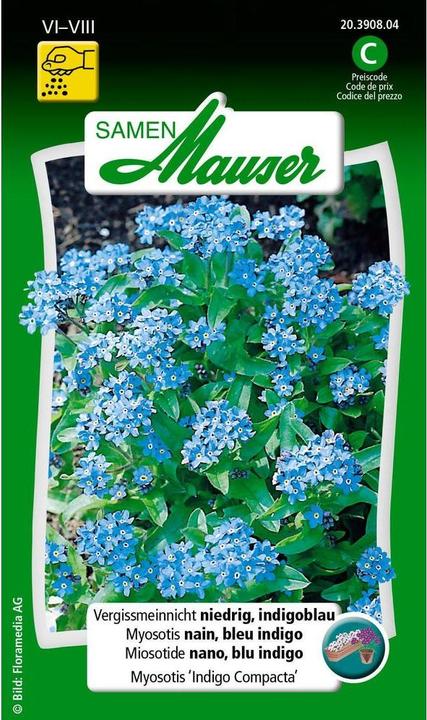 Samen Mauser Vergissmeinnicht niedrig (Pflanzensamen)