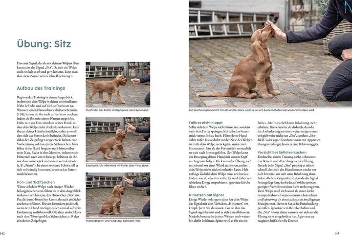 Immagine prodotto Kosmos Welpentraining mit Martin Rütter (Tedesco, Martin Rütter, 2022)