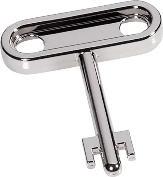 Actual product image Rittal Switch cabinet key