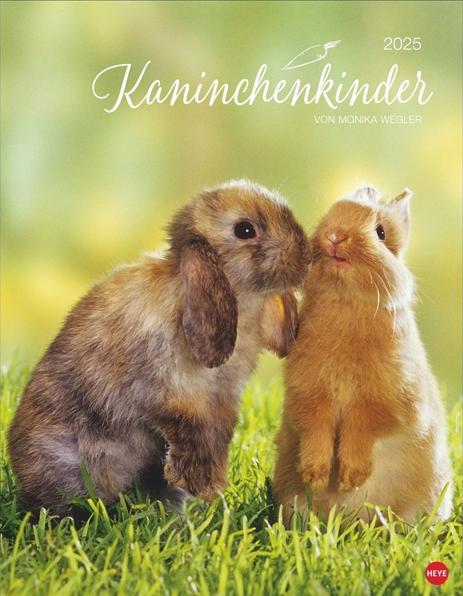 Produktbild Heye Kaninchenkinder Posterkalender 2025 (34 x 44 cm, Harter Einband, Deutsch)