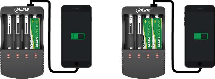 Actual product image InLine 01287L (1 pcs., A, AA, AAA, AAAA, C, Chargers without battery)